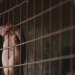 Hinter Gittern - Die härtesten Gefängnisse der Welt