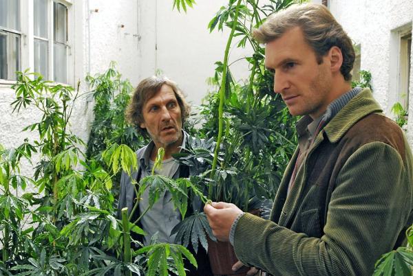 Bild 1 von 13: Im Garten von Bestatter Alois Frühauf (Martin Maria Abram, l.) findet Mark (Siegfried Terpoorten, r.) Marihuanapflanzen in erstklassiger Qualität.