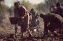 ZDFinfokanal 18:00: Anthropozän - Das Zeitalter des Menschen