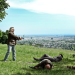 Bild 8