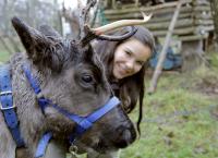 Anna und die wilden Tiere