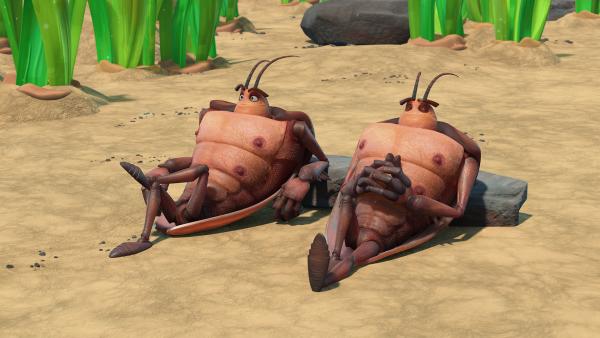 Bild 1 von 6: Hye und Lo genießen die Sonne.
© KiKA/One Animation PTE LTD. - Honorarfreie Verwendung gemäß AGB im redaktionellen Zusammenhang mit genannter Sendung bei Nennung \