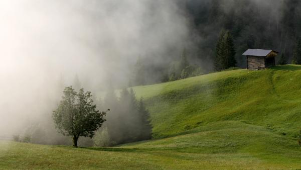 Bild 1 von 8: .