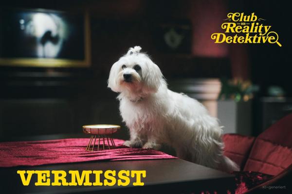 Bild 1 von 31: Club der Reality-Detektive Staffel 1
