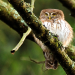 Abenteuer Wildnis