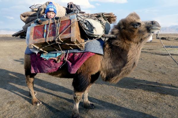 Bild 1 von 7: Umzug der Nomaden: Baka in Umzugskiste