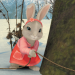 Peter Hase