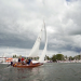 Sommer an der Schlei