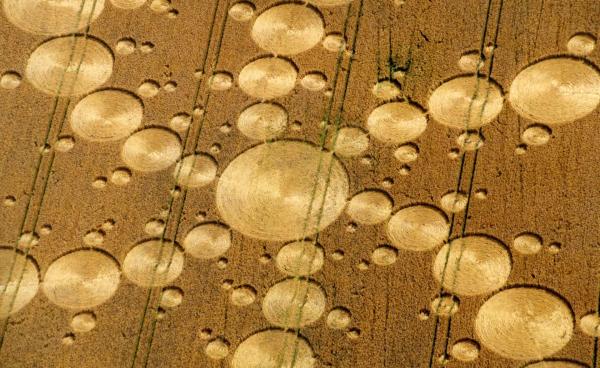 Bild 1 von 3: Es gibt über 10.000 Meldungen von Kornkreisen aus 50 verschiedenen Ländern. Diese seltsamen Gebilde können einfache Kreise sein, aber auch komplexe Formen von immenser Größe vorweisen. Die Phänomene werden mit wissenschaftliche Absonderheiten, merkwürdigen Lichtern und UFO-Landungen in Verbindung gesetzt.