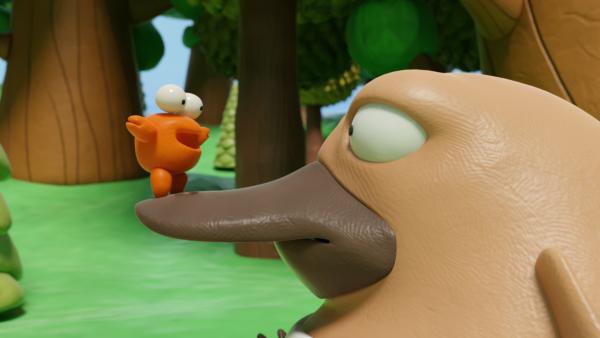 Bild 1 von 4: Karli Krebs hat Nö-Nö gefunden.