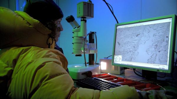 Bild 1 von 14: Im Bild: Im Kältelabor des Instituts für Schnee- und Lawinenforschung im schweizerischen Davos erforscht Johanna Spiegel Schneekristalle unter dem Mikroskop.