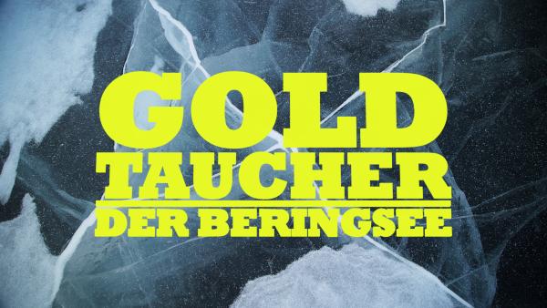 Bild 1 von 1: Logo