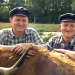 Seltenes Leben an der Seeve