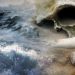 Ancient Apocalypse