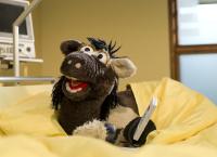 Sesamstraße präsentiert: Eine Möhre für Zwei