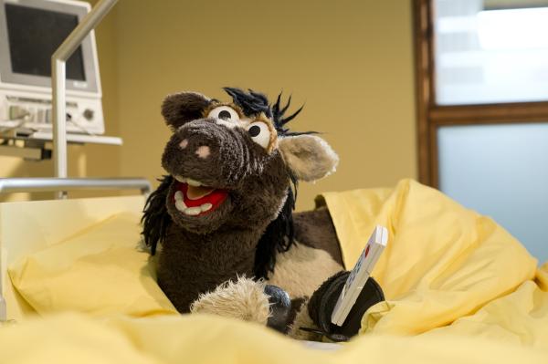 Bild 1 von 7: Mit Pferd an seiner Seite ist der Aufenthalt im Krankenhaus für Wolle schon gar nicht mehr so schlimm.