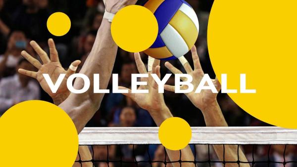 Bild 1 von 1: Volleyball