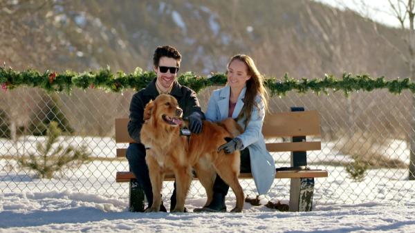 Bild 1 von 2: Trevor (Ben Mehl) verliebt sich in die die Hundetrainerin Peyton (Amber Marshall)