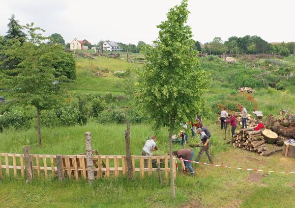 Bild 1 von 9: Die Summer in Bayreuth beim Bau von Hochbeeten aus Totholz.