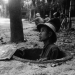 Der Vietnamkrieg