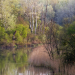 Wildnis am Strom - Nationalpark Donau-Auen