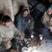 Russlands wilde Tundra