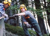 Im Schatten der Gipfel