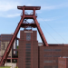 Die Steinkohle