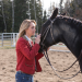 Heartland - Paradies für Pferde
