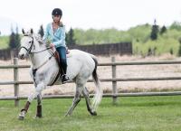 Heartland - Paradies für Pferde