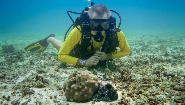 Im Einsatz für den Oktopus
