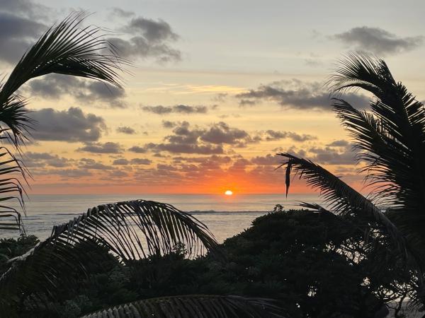 Bild 1 von 14: Daniel Krieg ist davon überzeugt, dass der Schatz des Piraten La Buse auf der Insel Mauritius versteckt wurde.