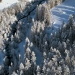 Der ersehnte Schnee