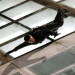 Mission: Impossible 3