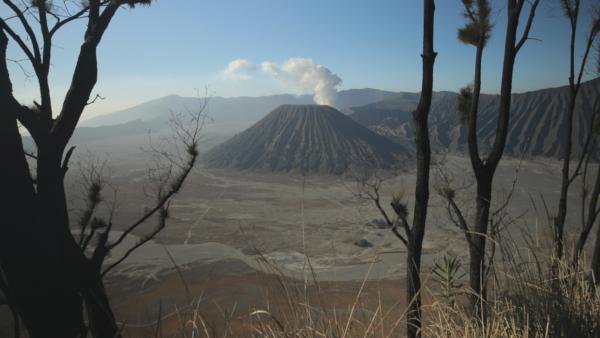 Bild 1 von 4: Java liegt im \