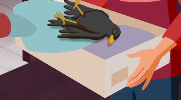 Bild 1 von 5: Der tote Vogel soll im Schuhkarton beerdigt werden.© ZDF/WunderWerk - Honorarfreie Verwendung gemäß AGB im redaktionellen Zusammenhang mit genannter Sendung bei Nennung \