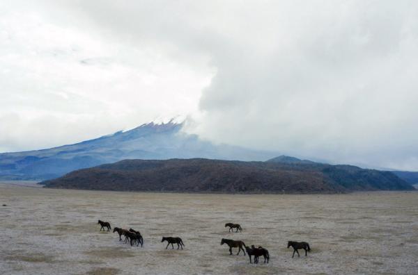 Bild 1 von 5: Im gleichnamigen Nationalpark Ecuadors liegt der Eisvulkan Cotopaxi, einer der höchstgelegenen aktiven Vulkane der Erde.