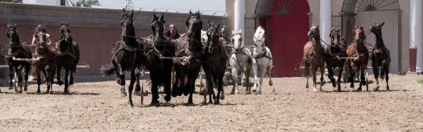 Bild 1 von 19: Im Bild: Reenactment: Ein hartes Rennen für die Wagenlenker und die Pferde.