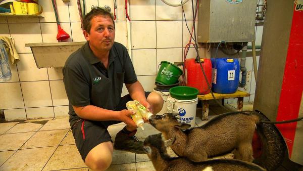 Bild 1 von 10: Im Bild: Milchbauer Johann Konrad hat viele Kleintiere und 320 Ku¨he.