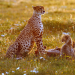 Abenteuer Wildnis