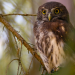 Abenteuer Wildnis