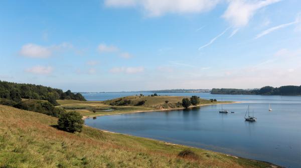 Bild 1 von 5: Kleinod der Natur: Das Dummersdorfer Ufer liegt nur wenige Kilometer von Travemünde entfernt.