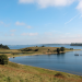 Abenteuer Wildnis