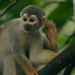 Abenteuer Wildnis