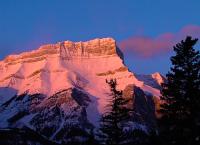 VIP Trip - Prominente auf Reisen 3