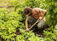 Taste of the Country - Sommer auf dem Land