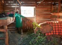 Ein perfekter Planet