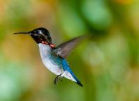 Kuba - Im Rhythmus der Natur