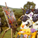 Shaun das Schaf