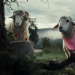 SHEEP